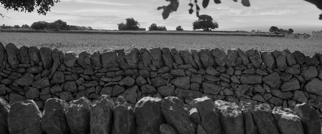 Innovameat